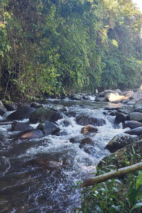 Cantinho Na Natureza Paraty Ngoại thất bức ảnh
